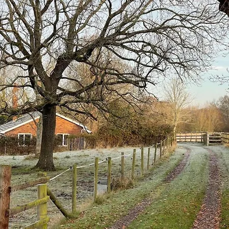 Secluded 3 Bed Cottage In Private Parkland Brockenhurst Exterior photo