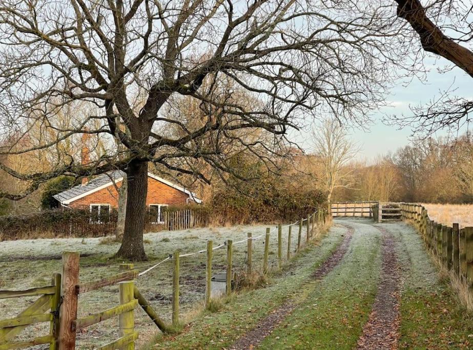 Secluded 3 Bed In Private Parkland Brockenhurst