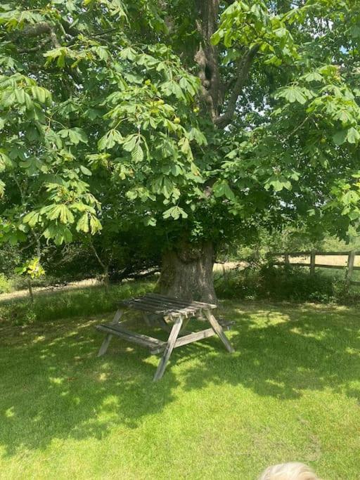 Secluded 3 Bed In Private Parkland Holiday home